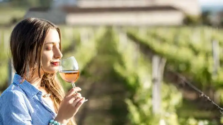 Bordeaux: Tradição e Excelência em Vinhos Franceses