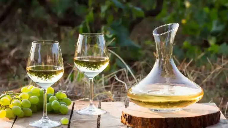 5 Sugestões de Vinhos para o Verão - Já abasteça sua Adega