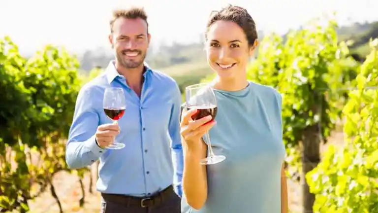 Vinícolas Desconhecidas que Todo Amante de Vinho Deve Visitar