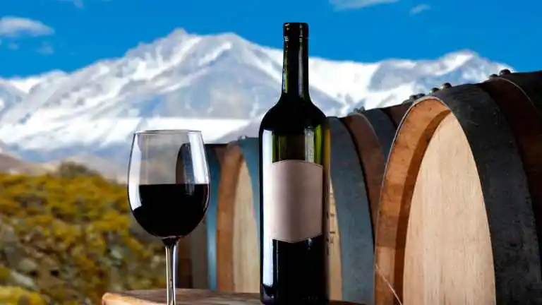 Origem do Vinho Malbec